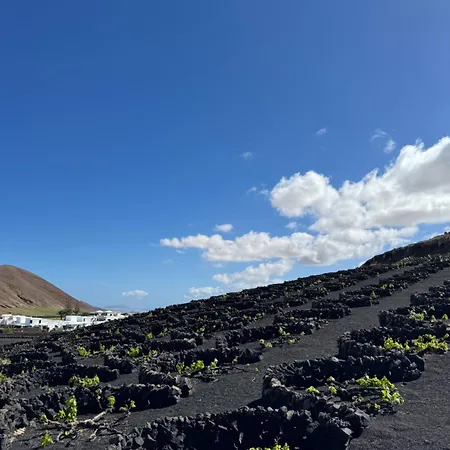 Дом отдыха Vineyard House *