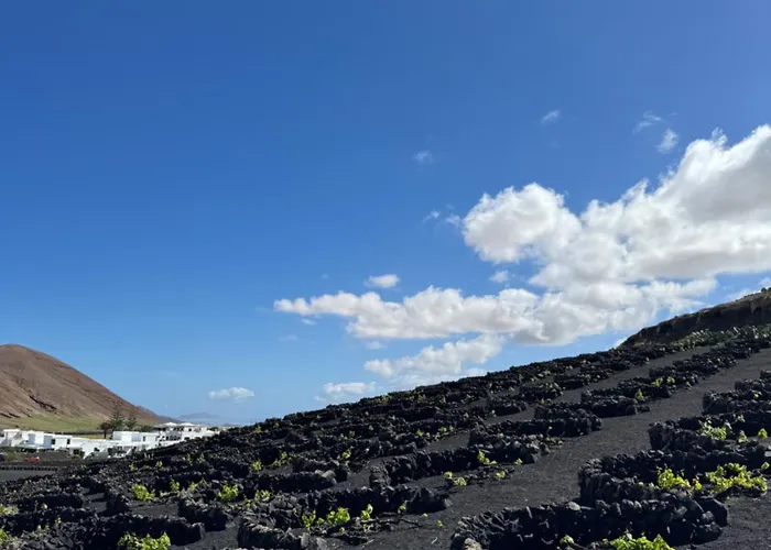 בית נופש Vineyard House *