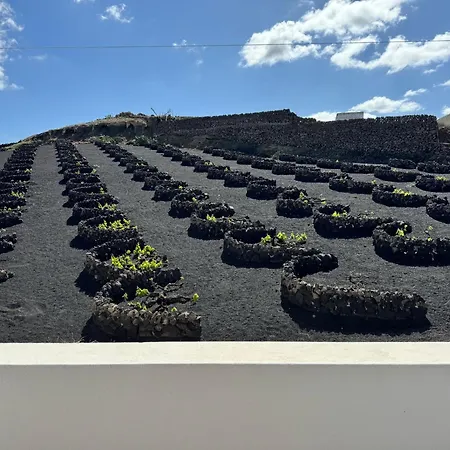 Сasa de vacaciones Vineyard House *
