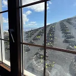 Vineyard House *